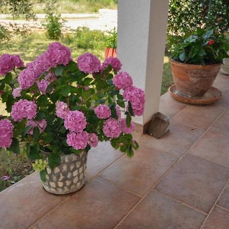 Apartamento Angela Novigrad Istria Exterior foto