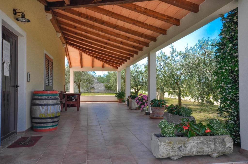 Apartamento Angela Novigrad Istria Exterior foto